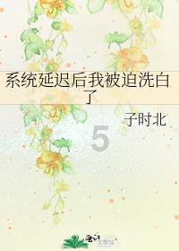 探探猫宝石岛2
